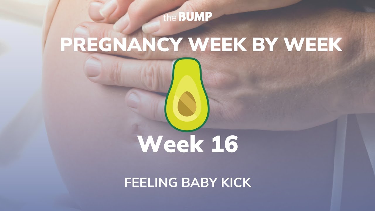 Pregnancy Week 16 | Feeling Baby Kick | Pregnancy Week By Week