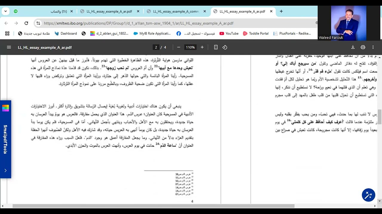 المقال الخاص بطلاب المستوى العالي لغة وأدب A.HL