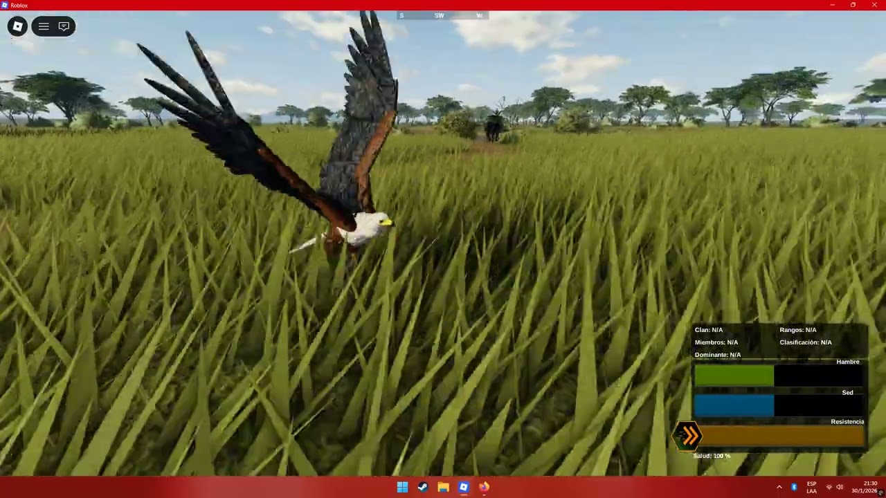juego wild savanna por primera vez