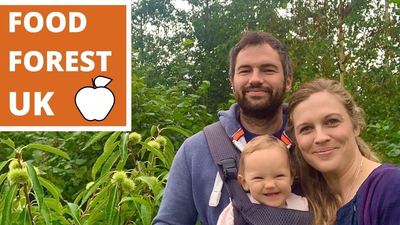 FOOD FOREST TOUR: UK family growing food forest as part of OFF GRID LIFE