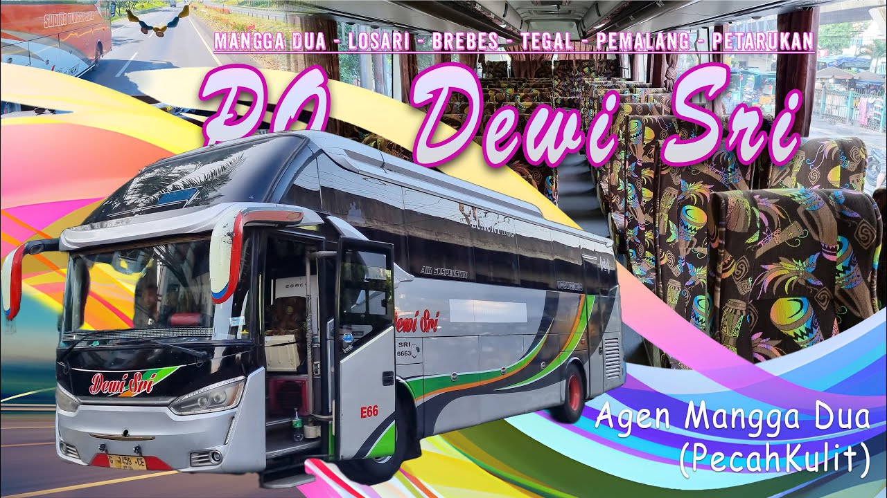 [File Lama Telat Upload] Bus PO Dewi Sri Agen Mangga Dua Angkatan Pagi Dari Mangga Dua - Petarukan