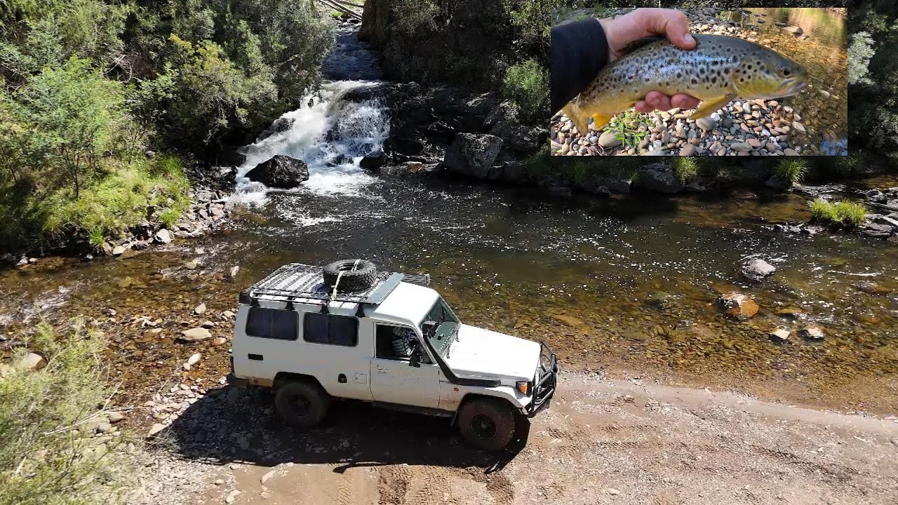 Dargo - Solo 4x4 - Catch & Cook Adventure