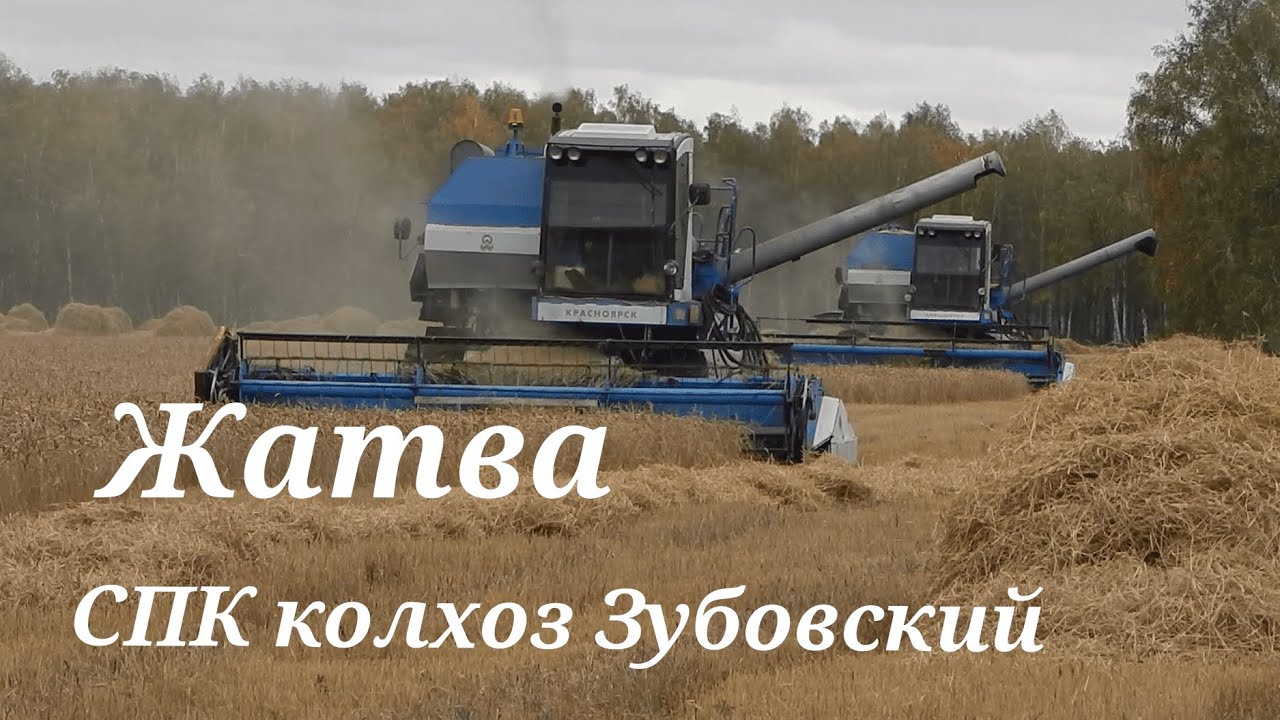 Жатва в СПК колхоз Зубовский. Комбайны Енисей-1200-1 + Зил-130
