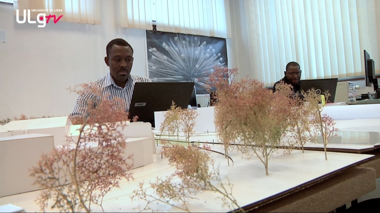 Focus sur la recherche en Architecture