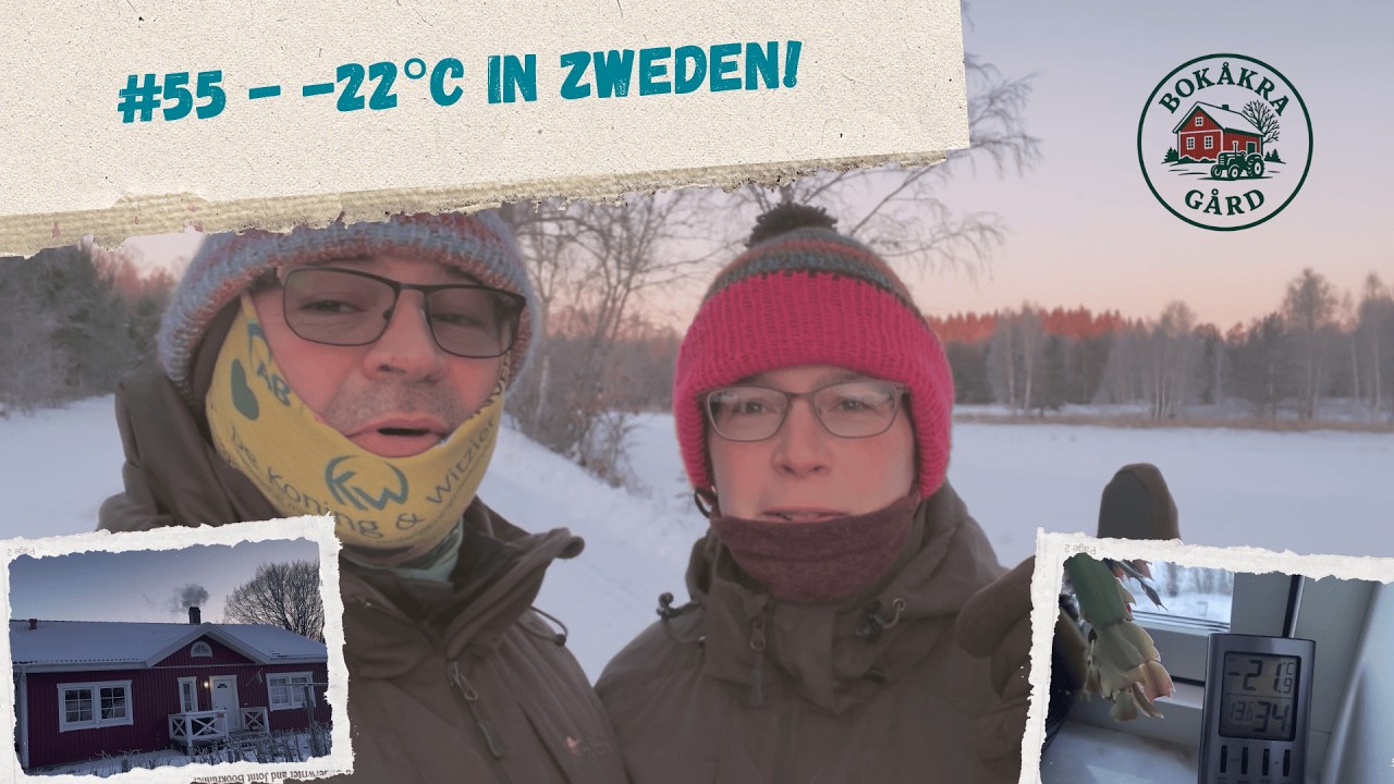 #55 - Extreme kou in Zweden (-22°C) | Vos op het land, Dubbskor getest | Farmvlog