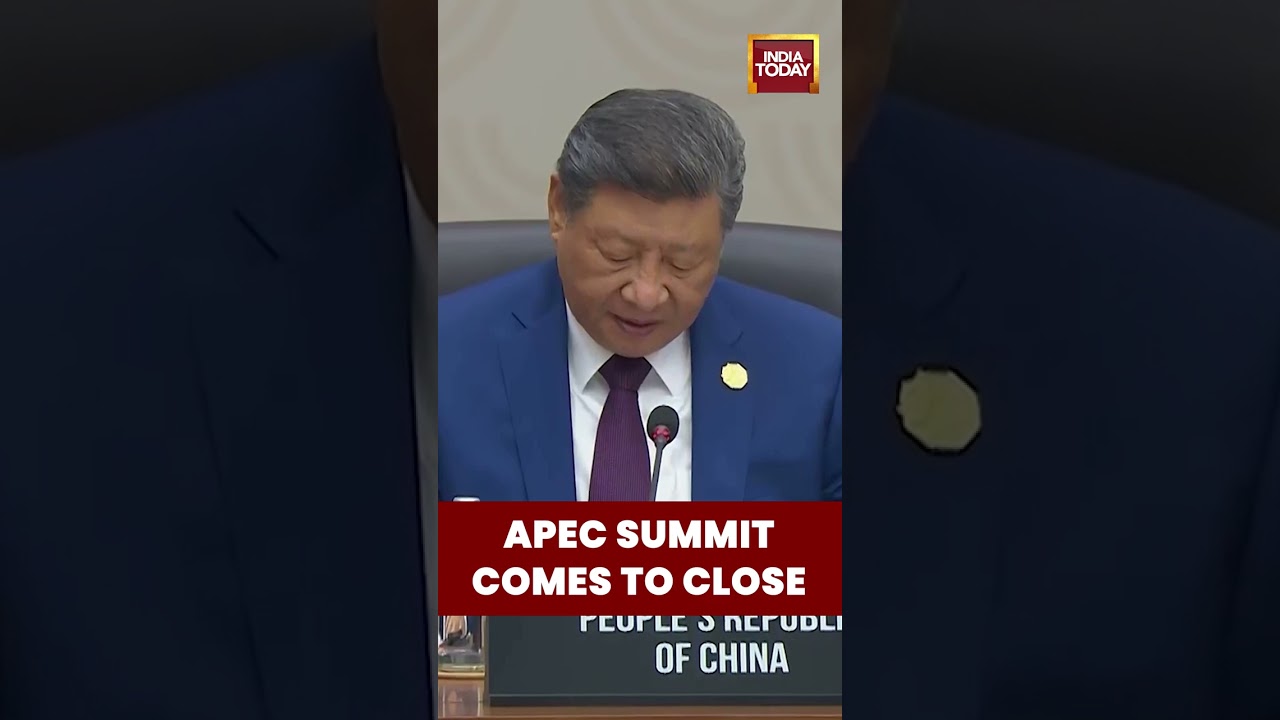 'Robust Trade And Investment Vital To Asia-Pacific Region': APEC Summit Comes To Close In S Korea