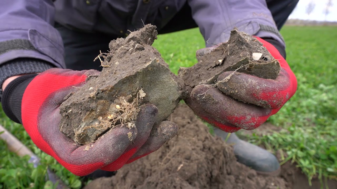 Demo gras/klaver zode NKG bewerken: introductie (DEEL 1)