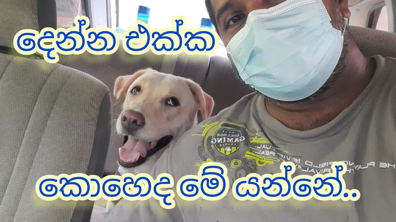 දෙන්න එක්ක කොහෙද මේ යන්නේ..?