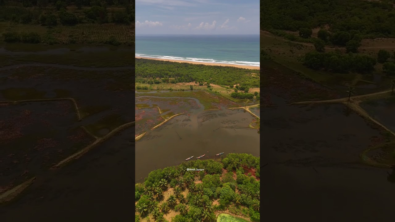 Hidden gem on the Odisha coast ✨Baliharachandi Beach #shorts #trending #viral #shortvideos