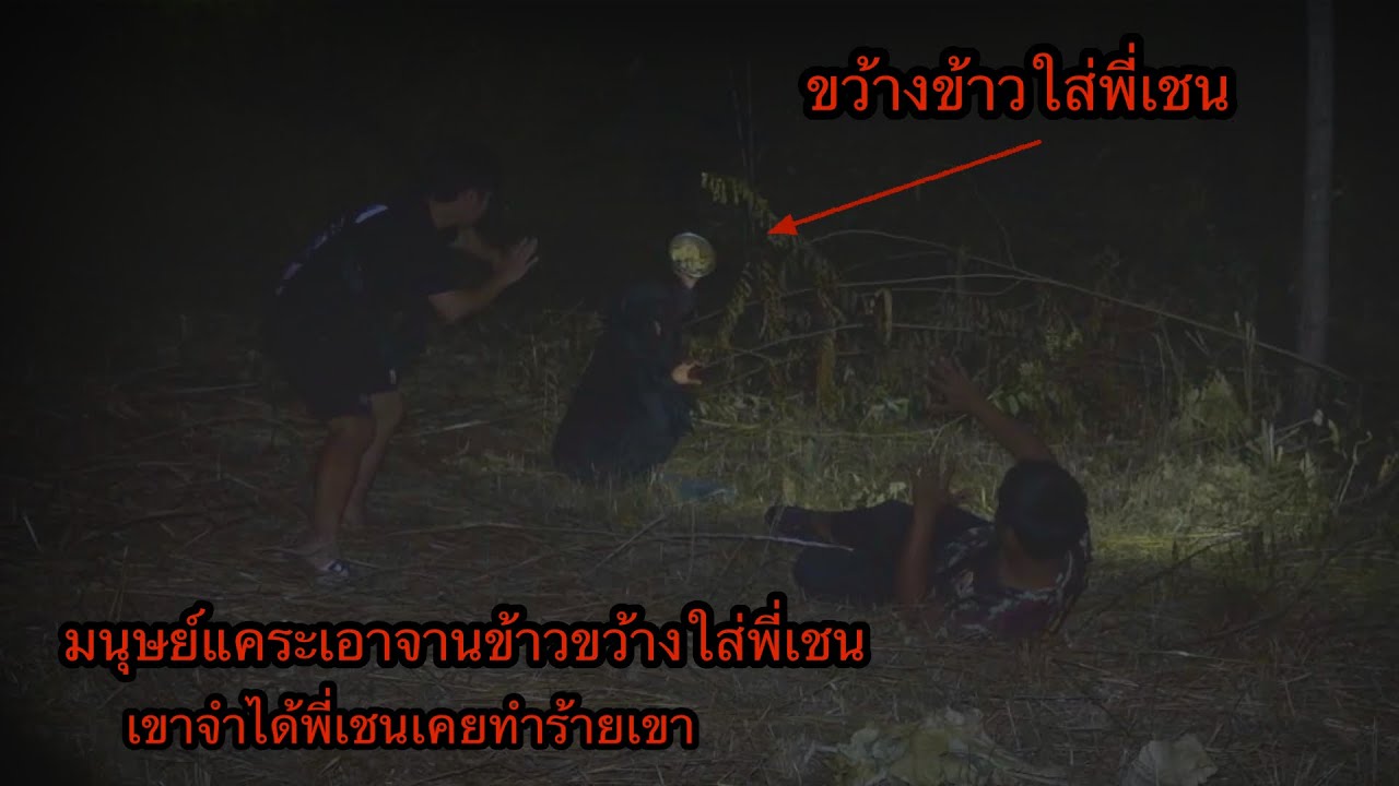 มนุษย์แคระเอาจานข้าวขว้างใส่พี่เชน เขาจำได้ที่พี่เชนเคยทำร้ายเขา