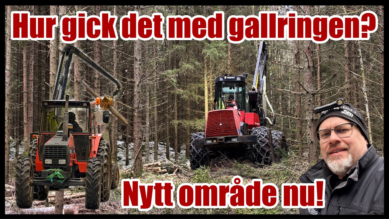 Så blev gallringen och nu börjar vi på nästa område! Testade Arboreal-appen också!