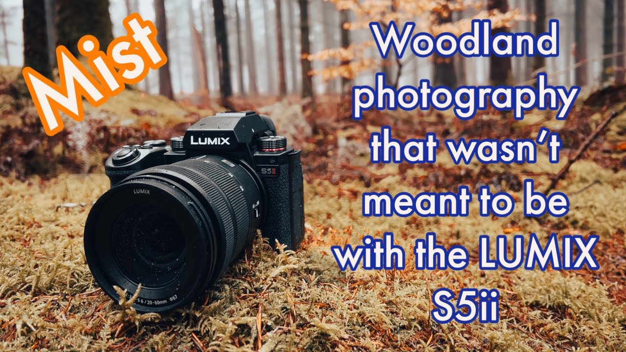 Woodland Photography with the LUMIX S5ii