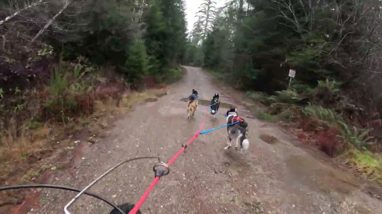 Bikejor in Mason County- Start (and Bryan is okay)