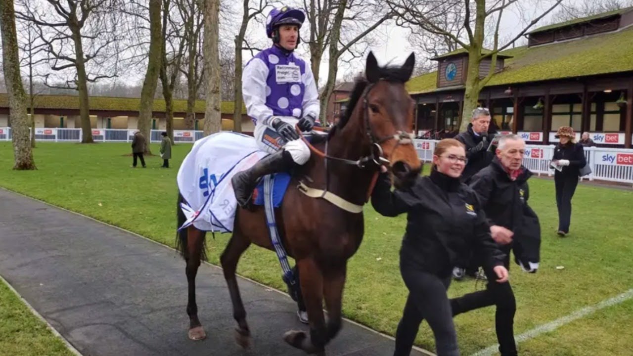 Hot favourite Royal Infantry fails to fire as Dedicated Hero wins the Supreme Trial at Haydock!