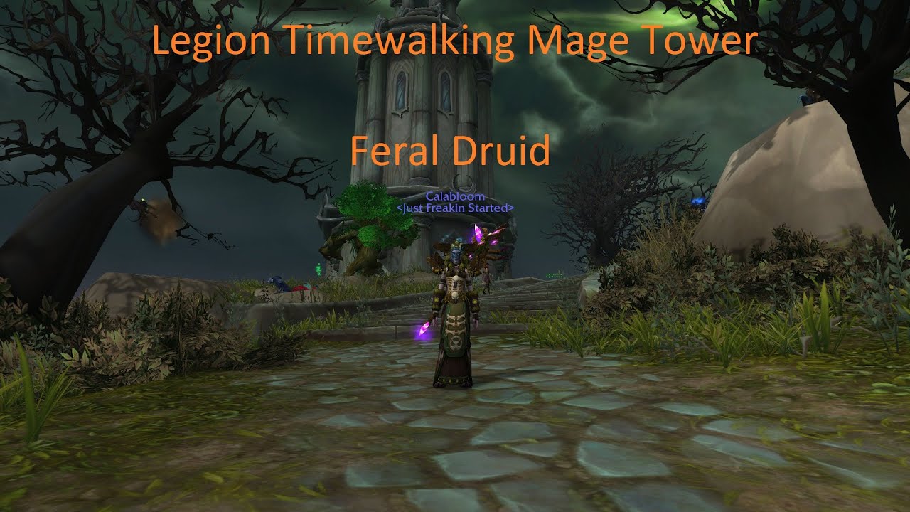Feral Druid Mage Tower - Legion Timewalking