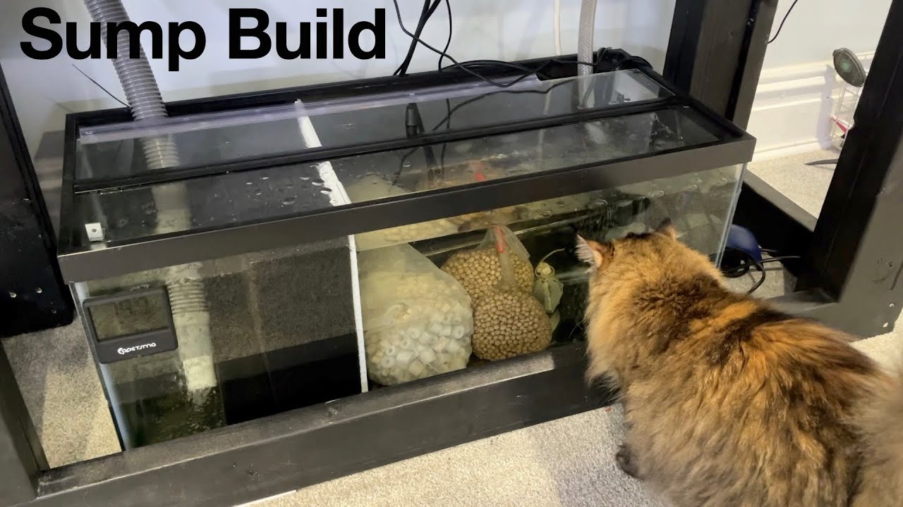 Building a DIY Sump