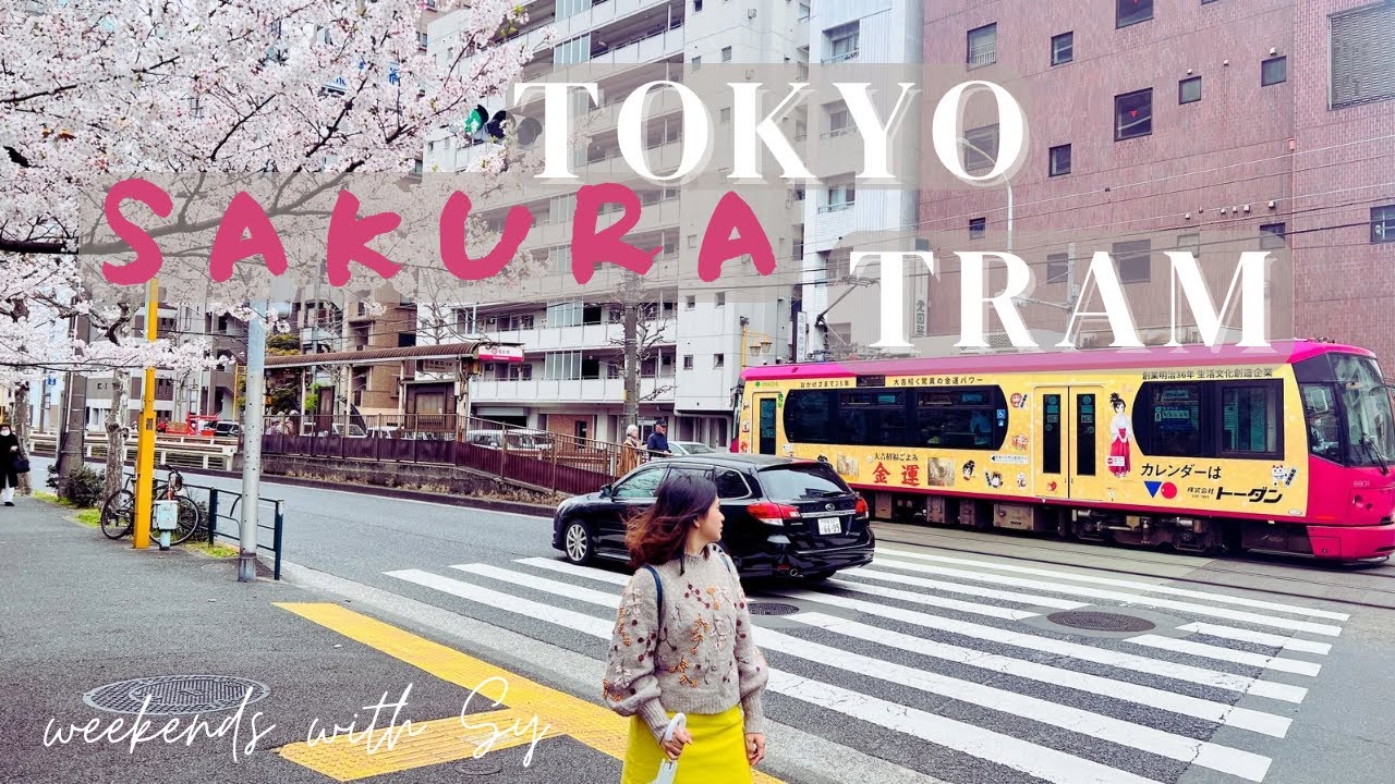 Riding the Tokyo Sakura Tram | Sakura Viewing | weekends with Sy