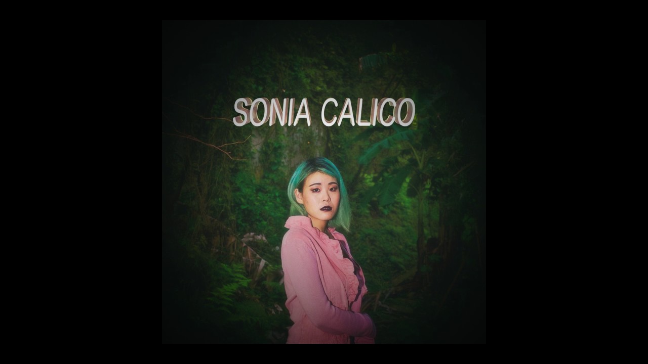 台北直直撞(Sonia Calico Remix) - Sonia Calico