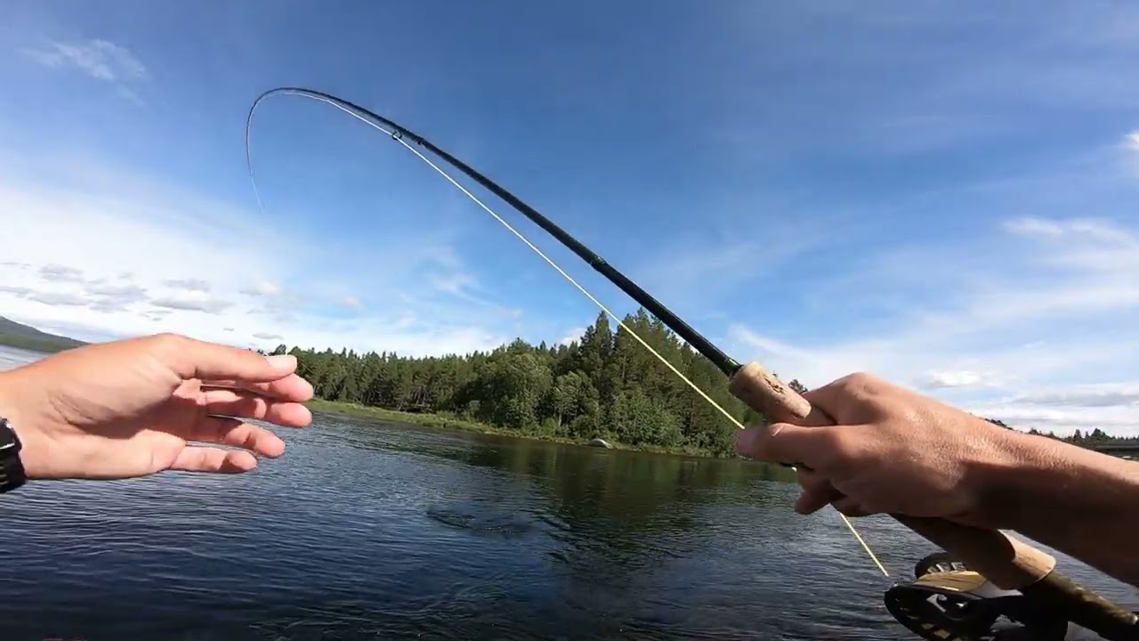 Flyfishing for grayling & trout in åre 2022