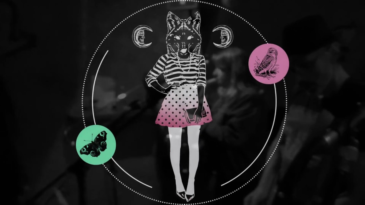 LE BRUIT DU RENARD : PROGRAMMATION