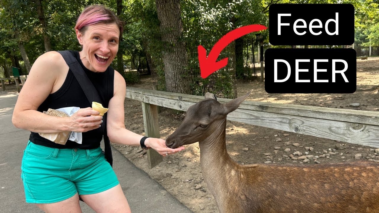 Wisconsin Deer Park Tour | Wisconsin Dells