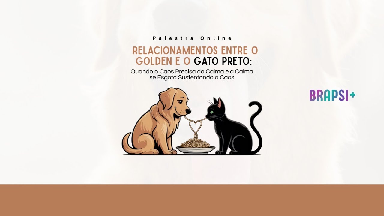07/02 - Relacionamentos entre o Golden e o Gato Preto Quando o Caos Precisa da Calma e a Calma..