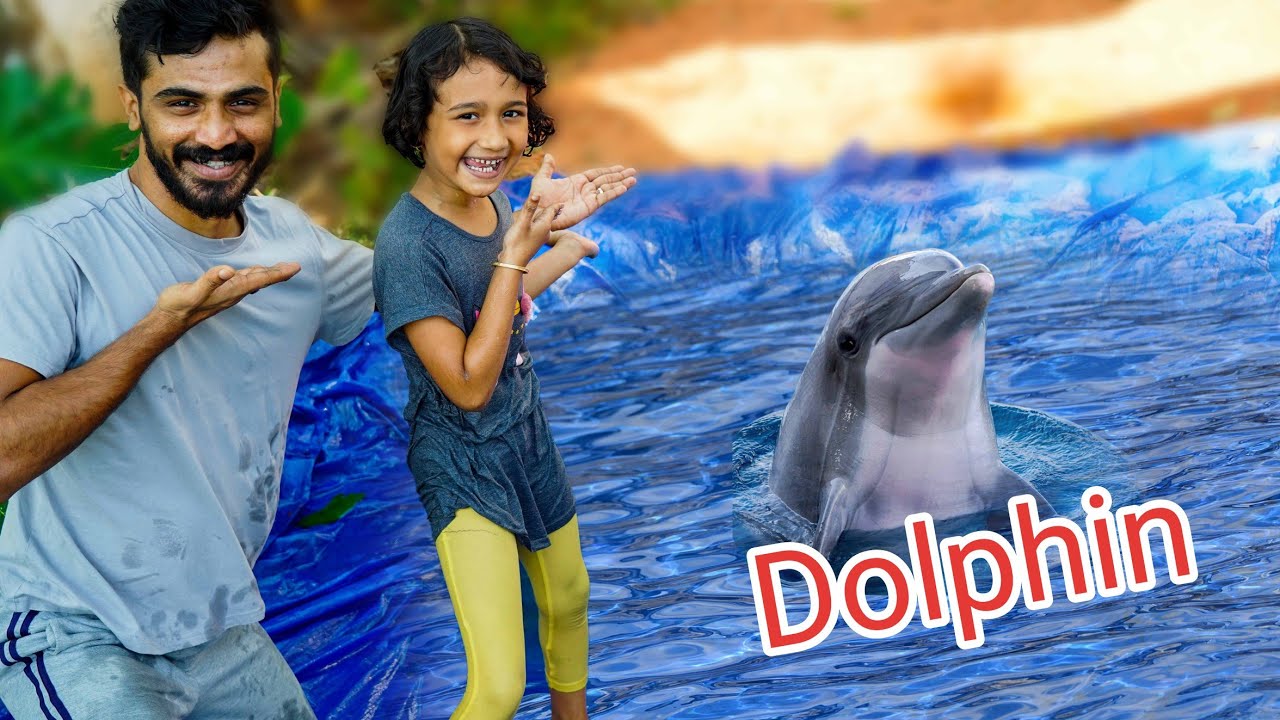 Dolphin വീട്ടിലെത്തി 😍 New Dolphin at Home