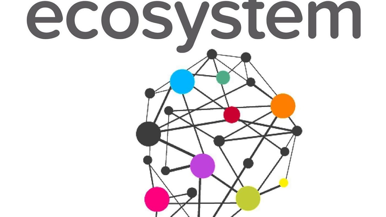 085 - Fearless Outperformance: Creating Conditions for the Very Best Teams to Excel with Amy...