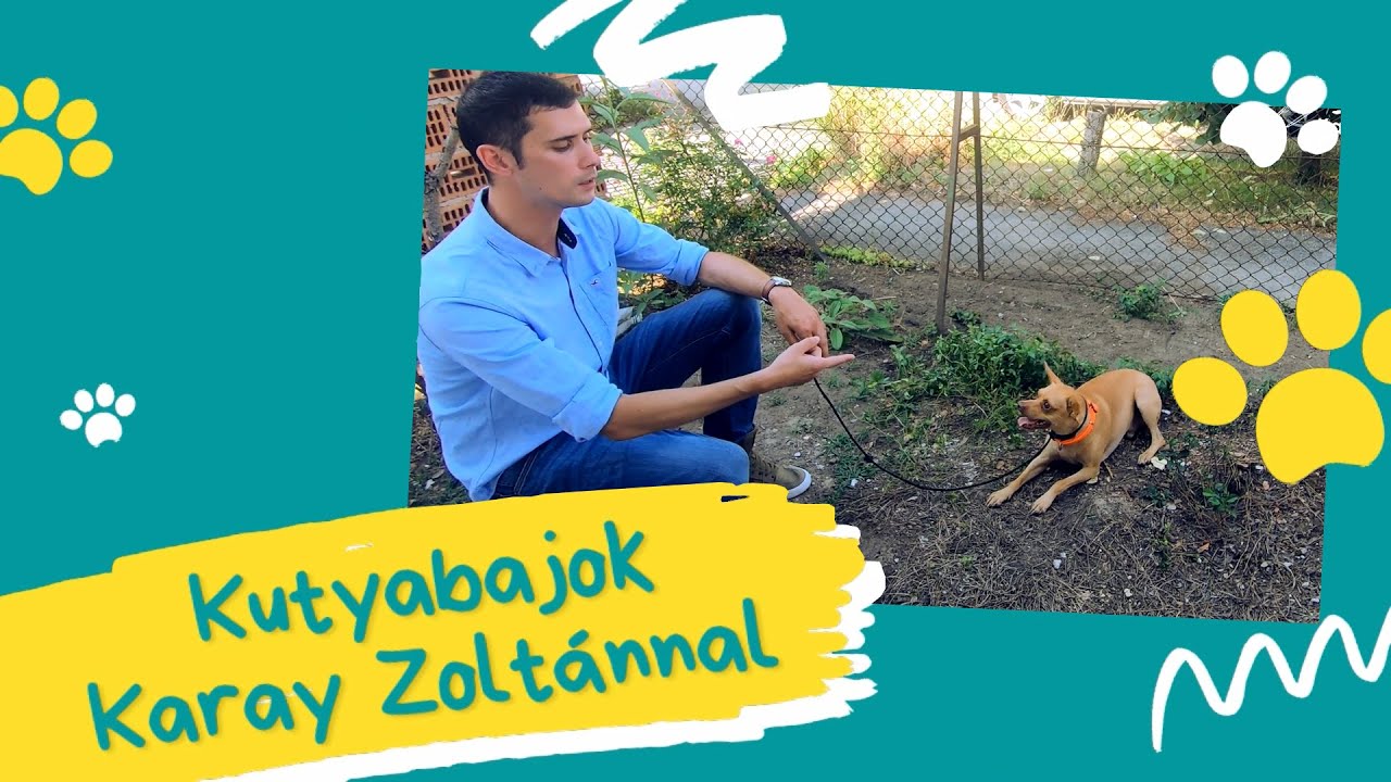 Pincseruralom / Kutyabajok Karay Zoltánnal