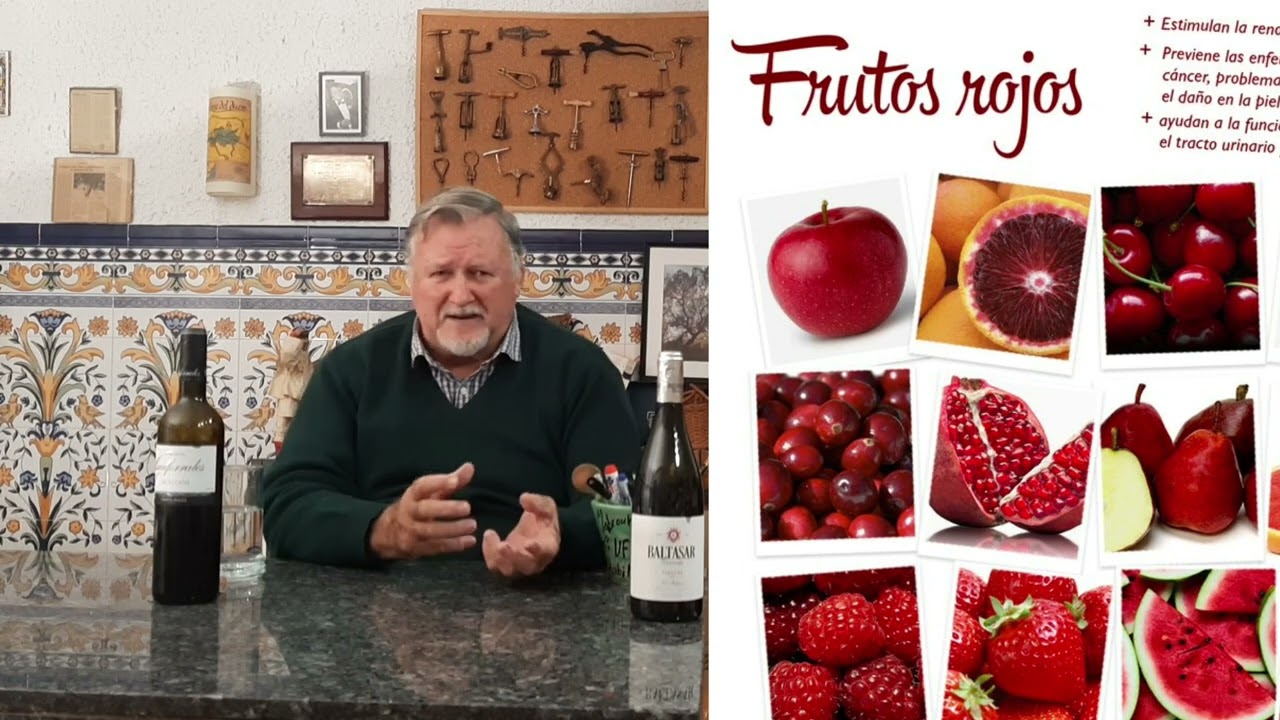 169 - Diferencias entre un vino de tempranillo y otro de garnacha.