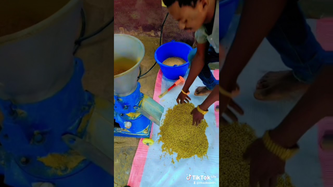 Provenderie d'aliments pour bétail, œuvre de Ir Baudouin à kindu