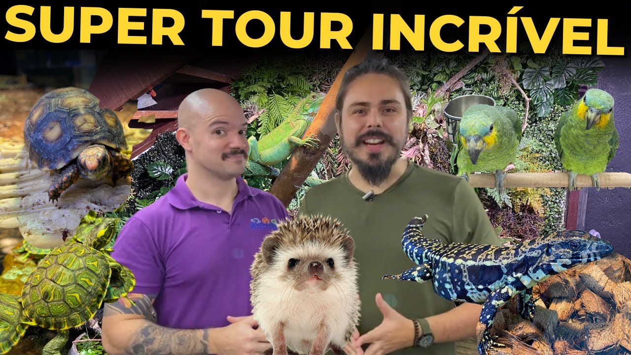 🔴SUPER TOUR PELO NOVO SETOR DA LOJA ECOTOP - ANIMAIS EXÓTICOS E SILVESTRES |Mr. Betta|