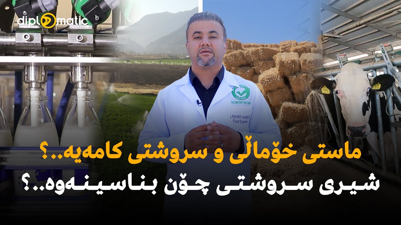 ماستی خۆماڵی و سروشتی کامەیە..؟ شیری سروشتی چۆن بناسینەوە..؟