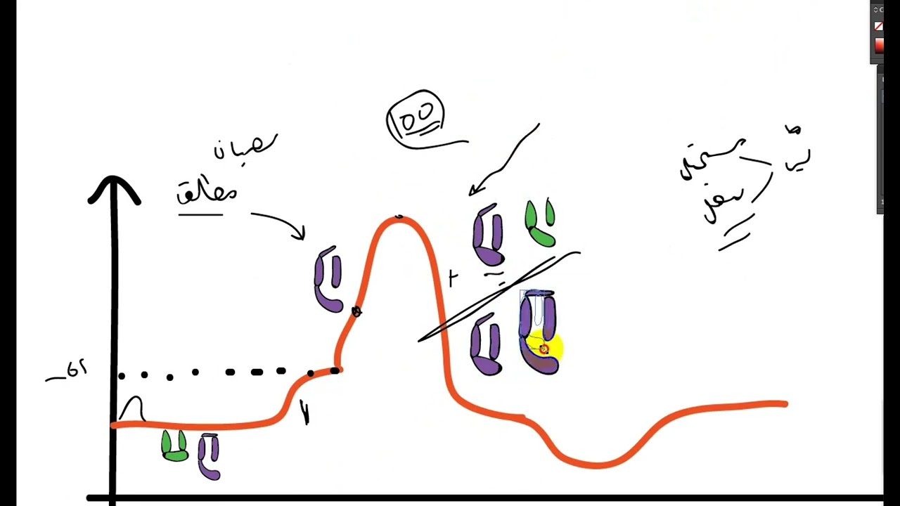 العصيان المطلق و العصيان النسبي فيزيولوجيا تحضيرية ، عمار علي