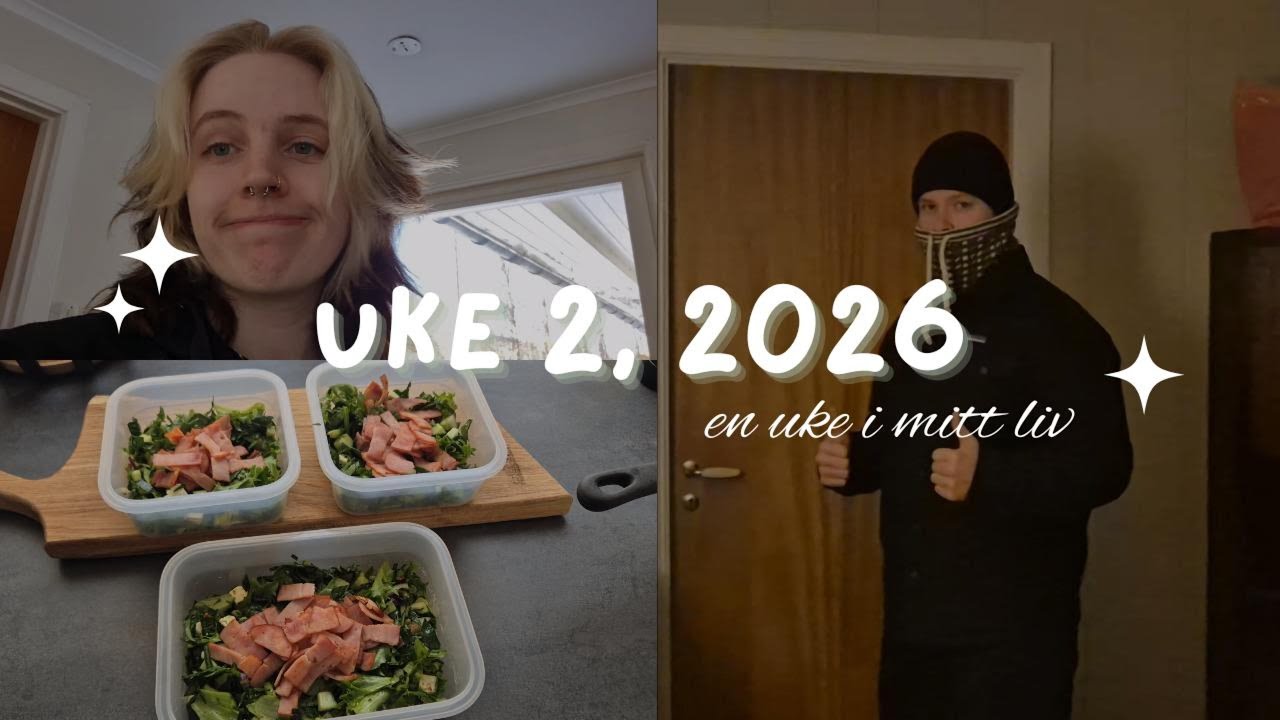 Snø, ved og musejakt || Vlog