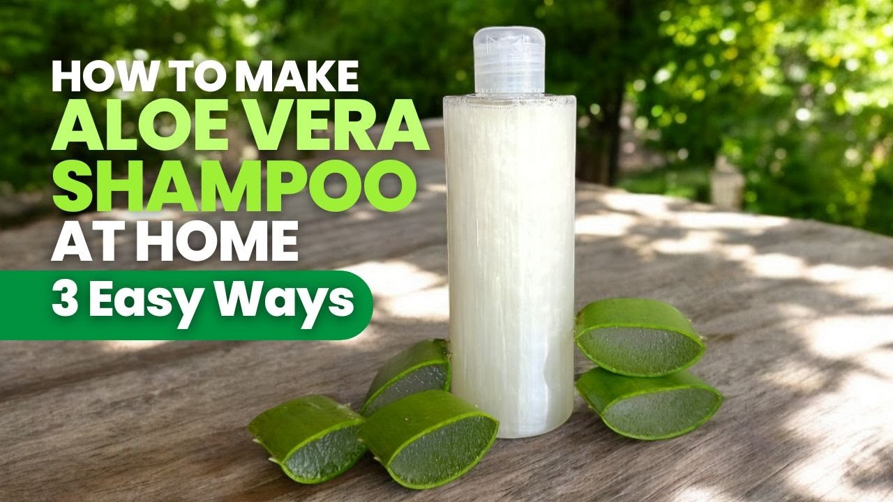 How To Make Aloe vera Shampoo at Home | 3 Easy Ways for Healthier Hair
