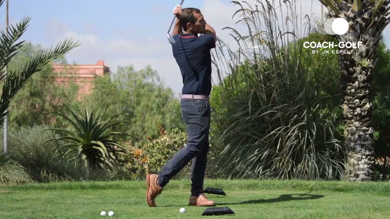 La connexion des bras au corps