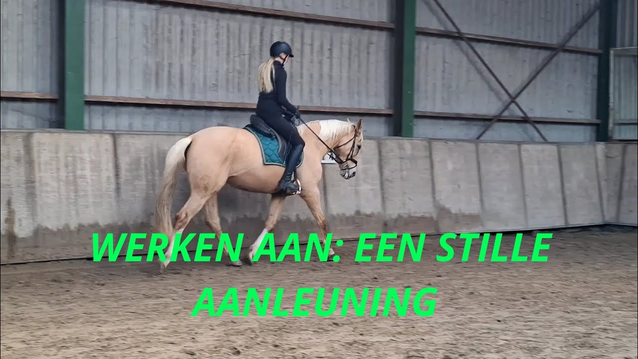 Het bevestigen van een stille aanleuning. Dressuur/Dressage.