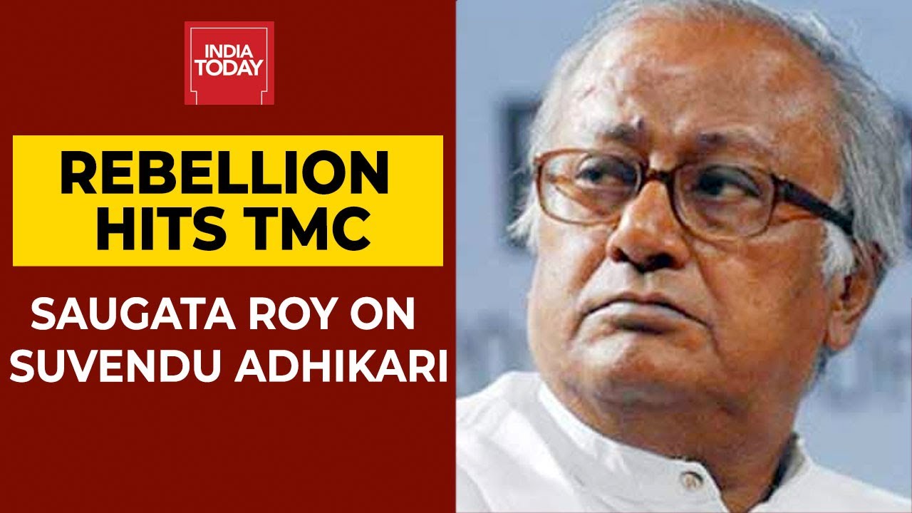 Rebellion Hits TMC: Trinamool MP Saugata Roy Says Suvendu Adhikari Is Nothing Without Mamata Didi