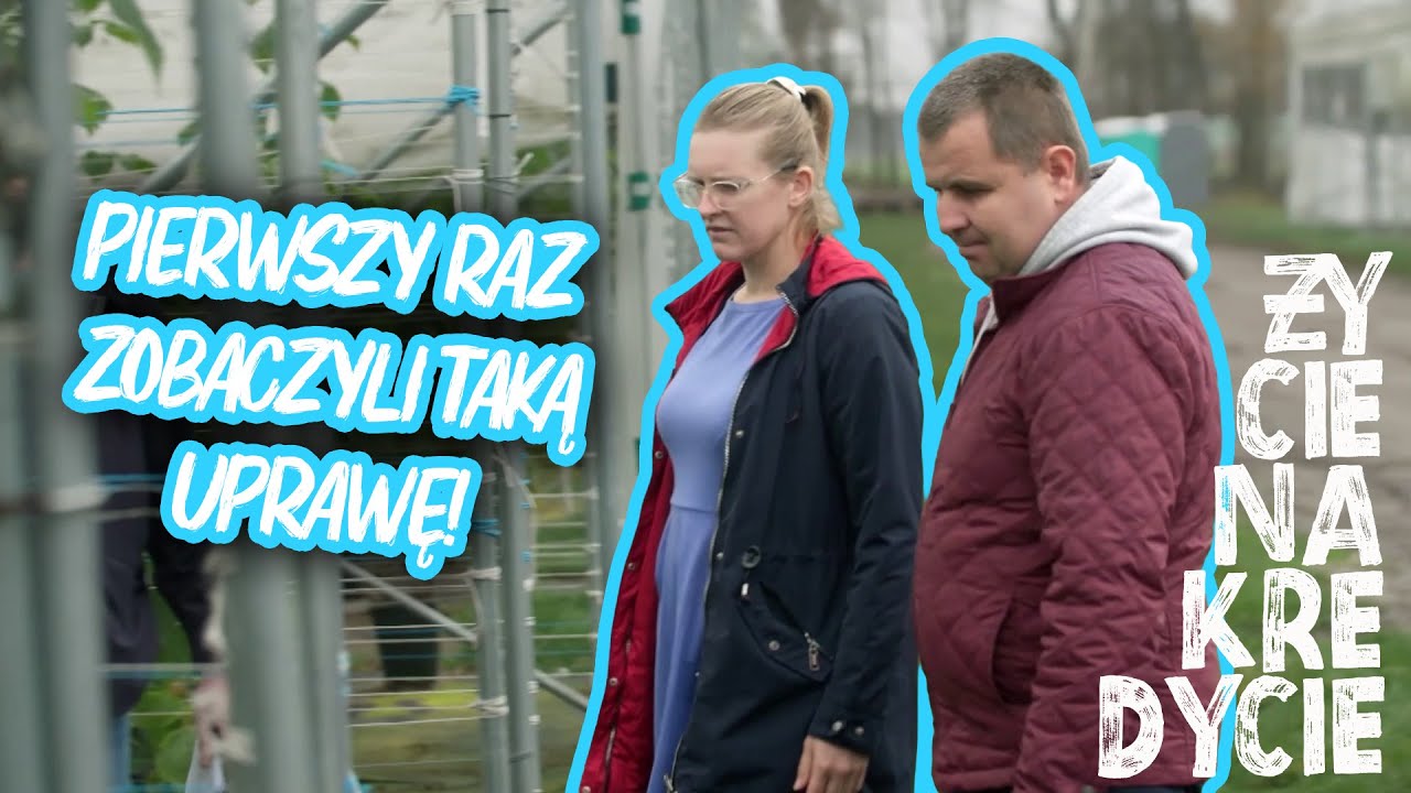 PLONY SPOD FOLII PRZEWYŻSZAJĄ TE Z UPRAWY GRUNTOWEJ 😮| Życie na kredycie