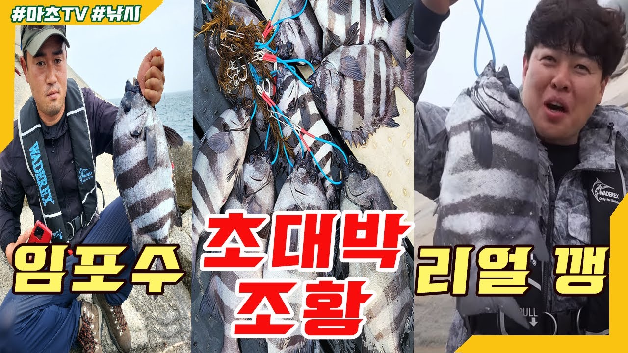 초초대박 조황ㅣ마초TV와 리얼깽TV 콜라보 돌돔낚시ㅣ완도 여서도 원투낚시 l Fishing / イシダイ / striped beakperch / rock bream