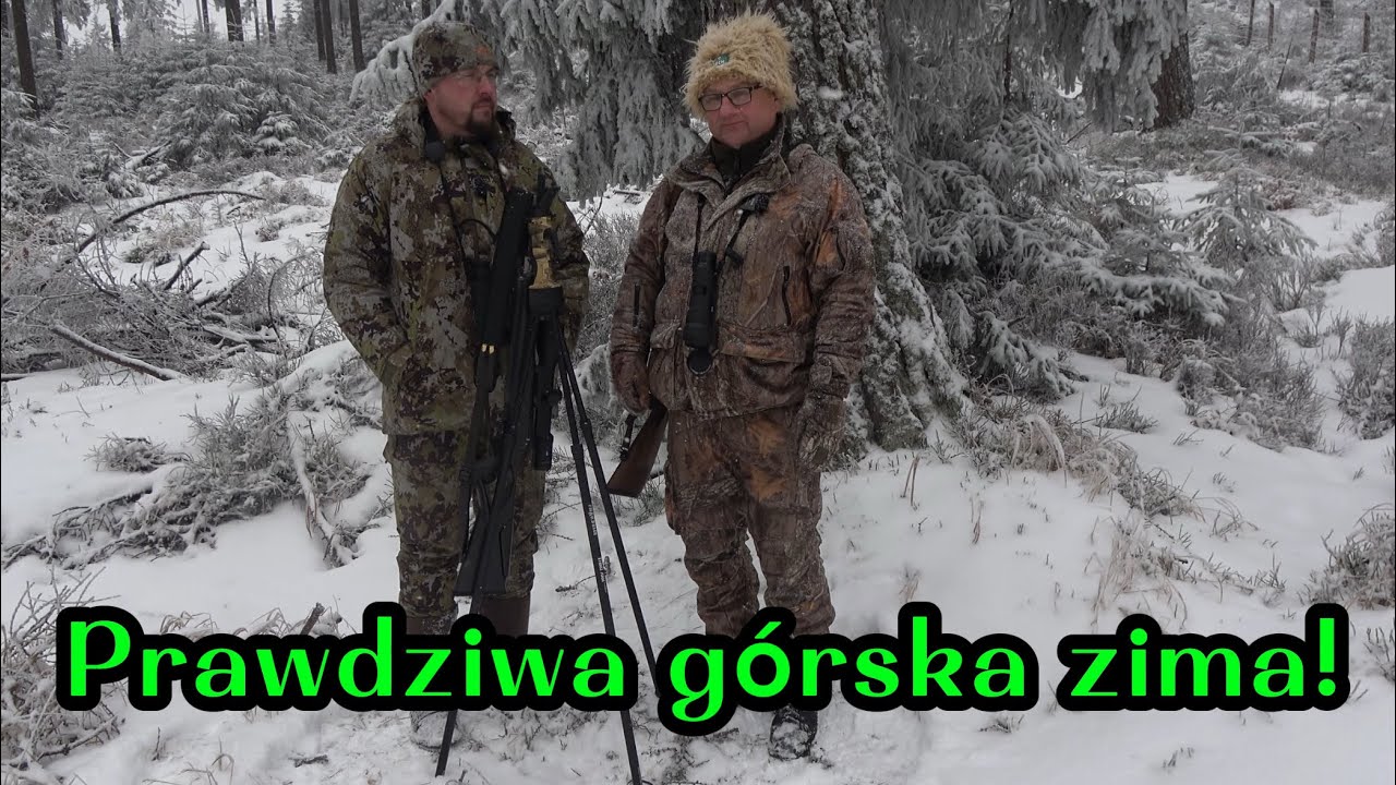 Szukamy Byków. Nowe pastorały i zima w górach. 