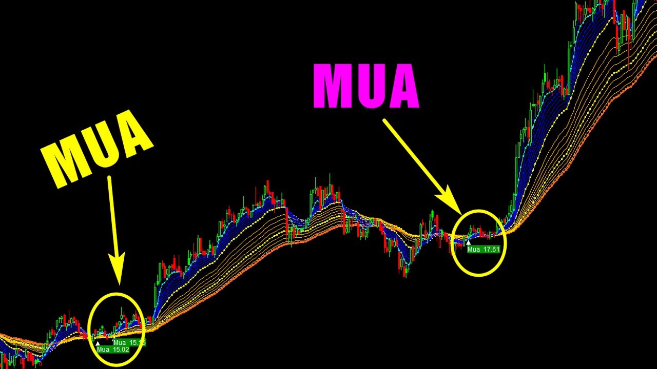 F186 - Rồng sinh đ&ocirc;i tạo ra t&iacute;n hiệu c&oacute; độ tin cậy cao v&agrave; loại bỏ t&iacute;n hiệu nhiễu  | Code Ambroker