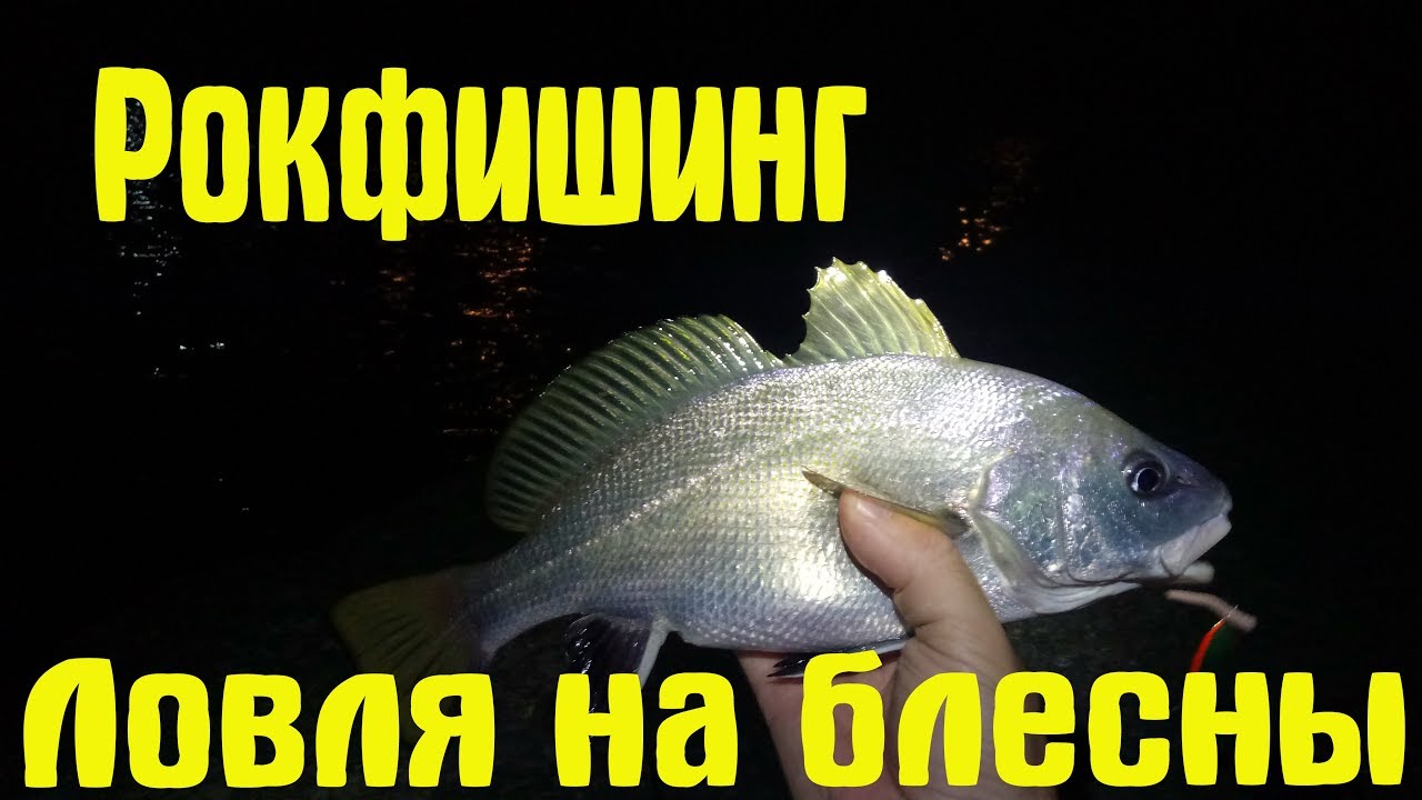 Рокфишинг.Ловля на блесны.Горбыль/Скорпена/Ставрида