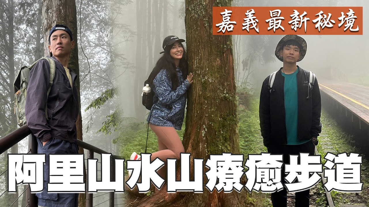 夏天避暑聖地之一！阿里山水山療癒步道 山裡最大千年檜木巍峨挺立 鐵軌遺跡與月台在迷濛下現身 帶領大家溯往百年前的失落的歷史！｜上山下海過一夜 精華
