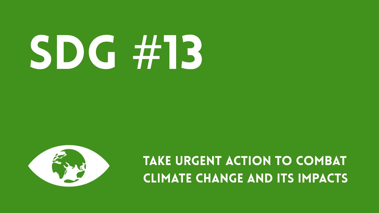 SDG 13: Fighting Climate Change Before 2030 &ndash; Here's How