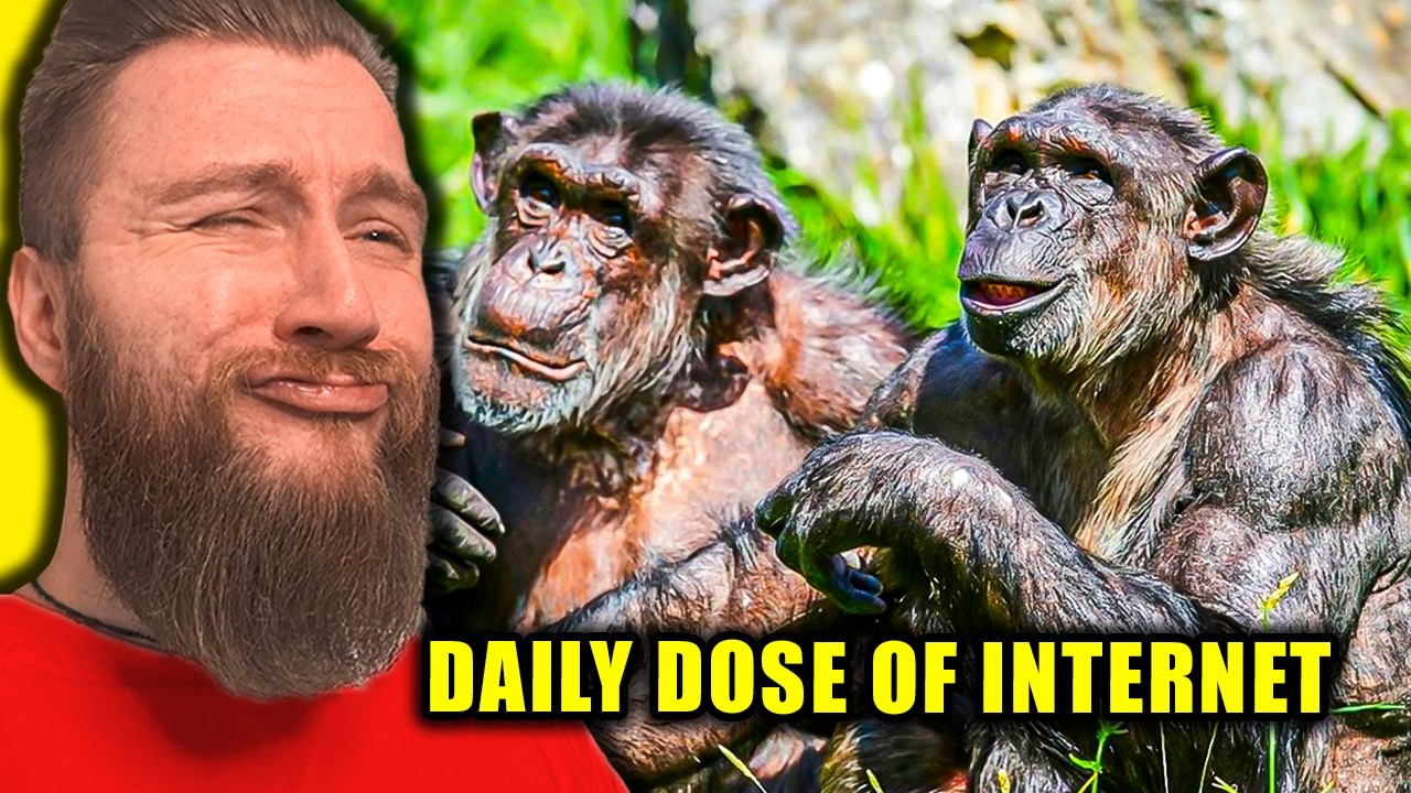 Najśmieszniejsze Filmiki W Internecie xD - Diabeuu Ogląda Daily Dose Of Internet