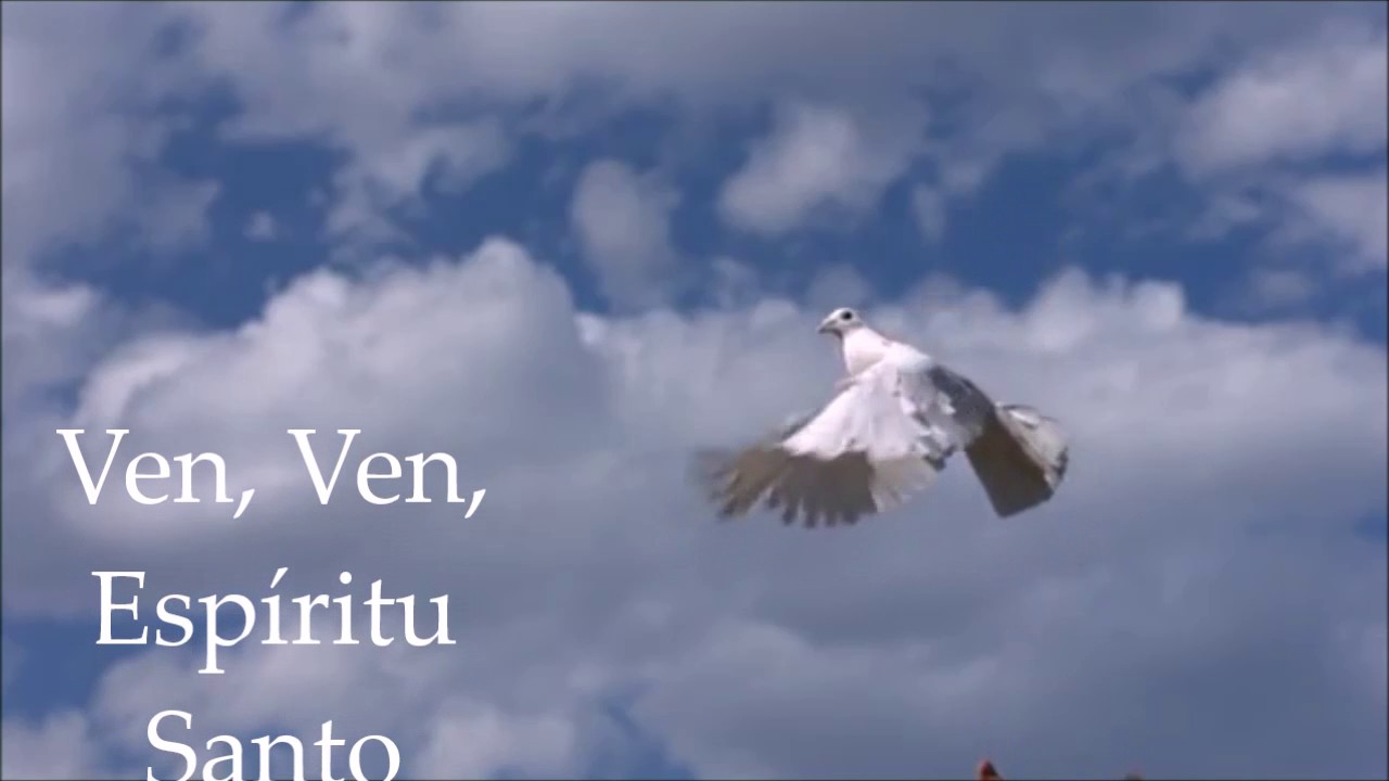 VEN, VEN ESPÍRITU SANTO VEN