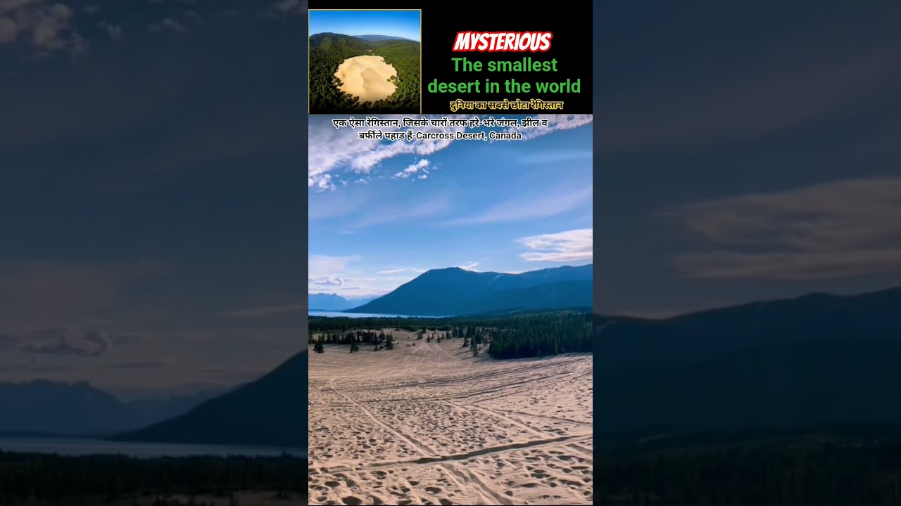 The smallest desert in the world #carcross #desert #canada #usa #nature #mysterious #iceland #ottawa