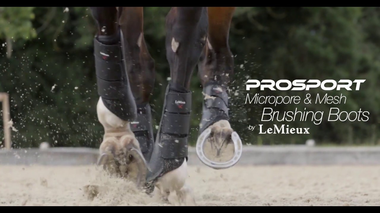Mesh Brushing Boots *JRS | LeMieux*